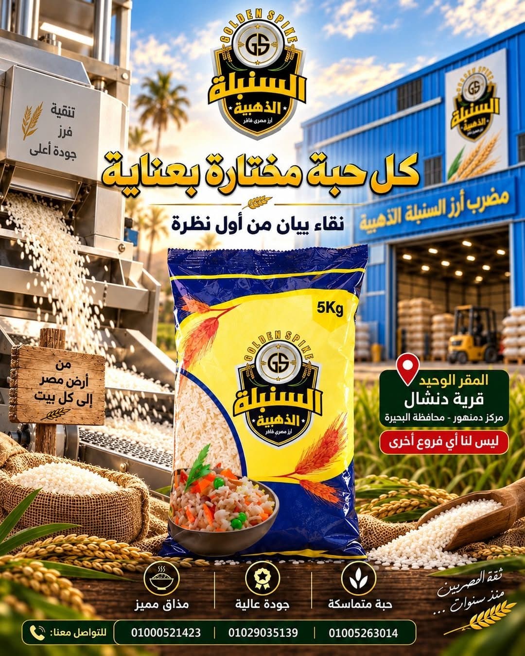 تصميم ترويجي لعبوة السنبلة الذهبية 5 كجم